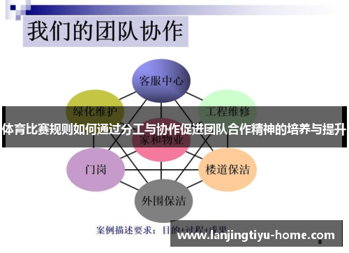 体育比赛规则如何通过分工与协作促进团队合作精神的培养与提升