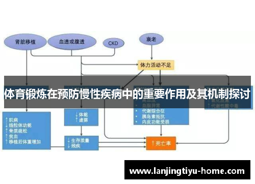 体育锻炼在预防慢性疾病中的重要作用及其机制探讨